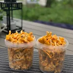 Caravana Juliana Hobby 545 Z Widokiem Na Jezioro Kemping *