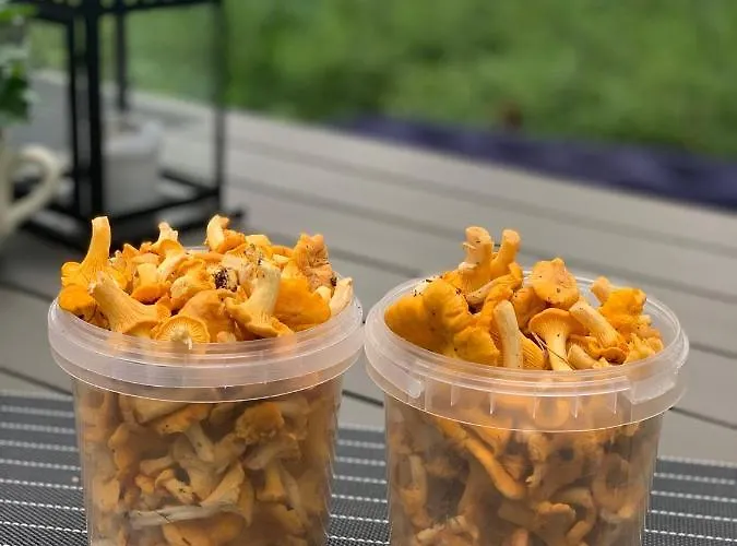 Caravana Juliana Hobby 545 Z Widokiem Na Jezioro Kemp *