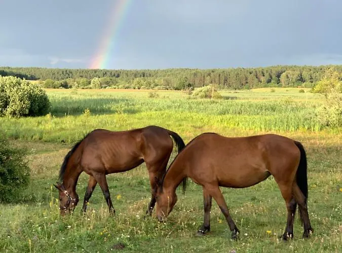 Caravana Juliana Hobby 545 Z Widokiem Na Jezioro Kemp